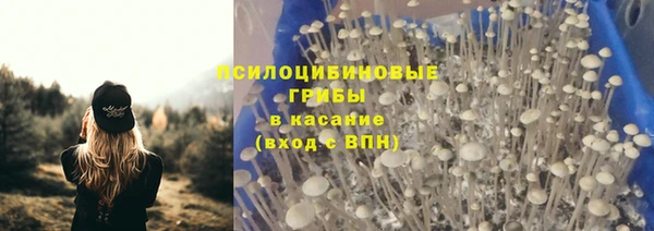 apvp Тольятти