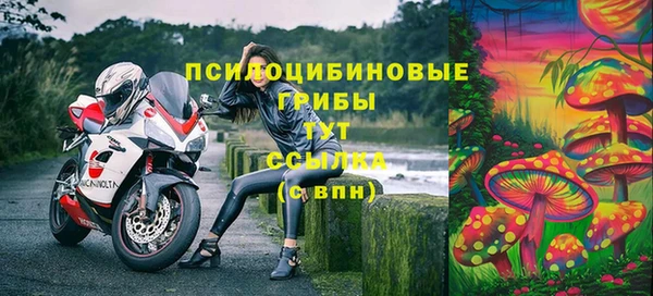соль ск Абаза