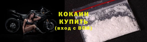 соль ск Абаза